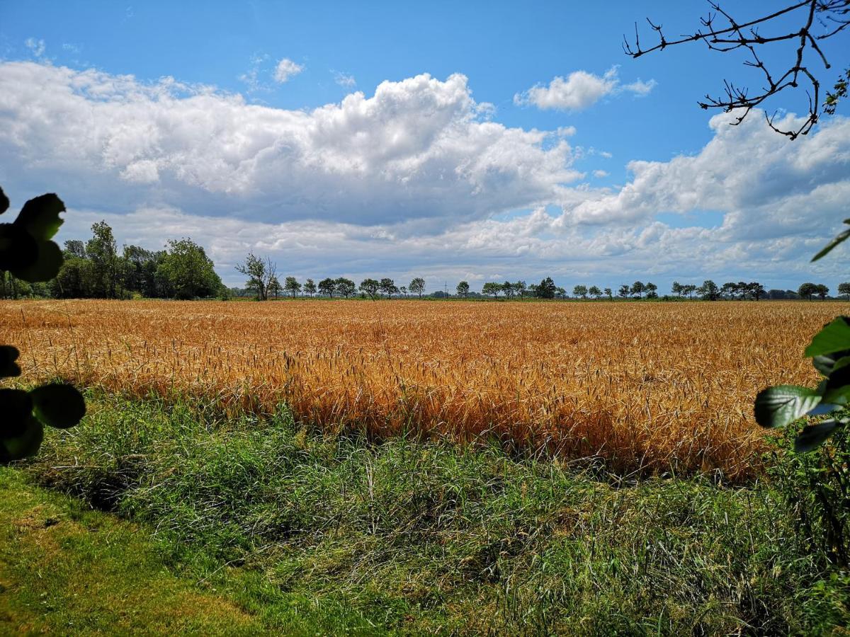 Landhaus Kaisershof - Ferienwohnungen Auf Dem Land Schillig Bagian luar foto